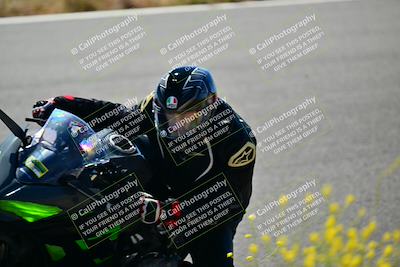 media/May-10-2024-2WTD (Fri) [[c88d7990af]]/Group B/Session 2-The Bowl/